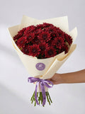 Crimson Velvet: Deep Red Chrysanthemum Bunch