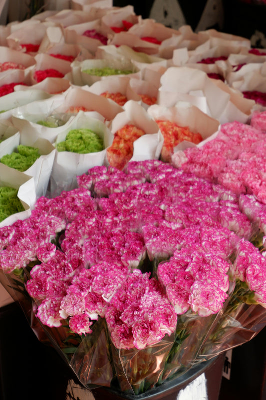 Buch of carnation