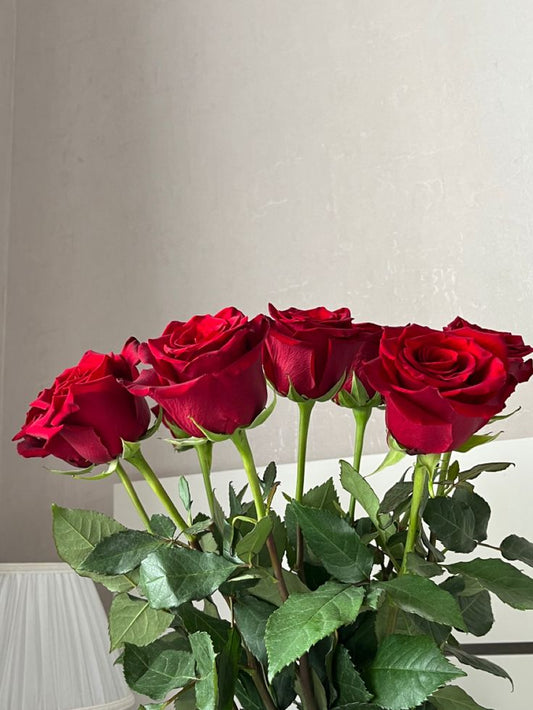 Classic Love – 20 Red Roses Bunch